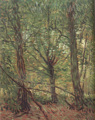 Vincent Van Gogh Trees adn Undergrowth (nn04)